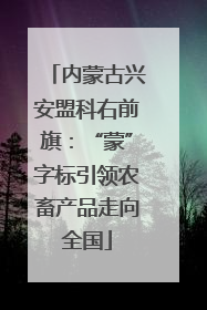 内蒙古兴安盟科右前旗：“蒙”字标引领农畜产品走向全国